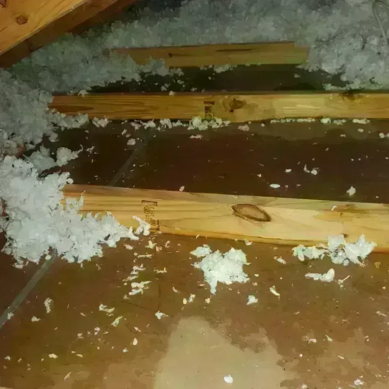 Attic Water Damage in Nederland, TX