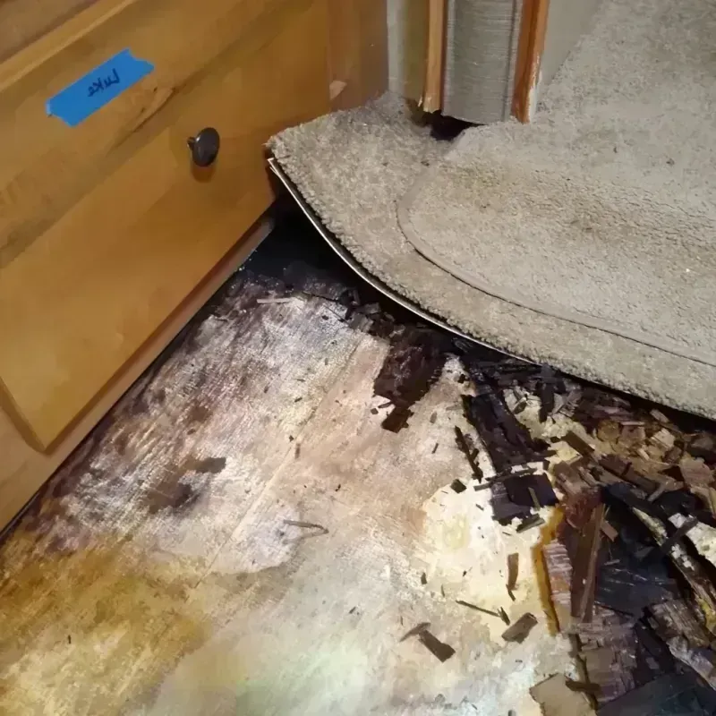 Wood Floor Water Damage in Nederland, TX